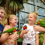 Hotel Der Valk Avifauna 4*