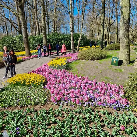 Der Valk Avifauna Otel 4*