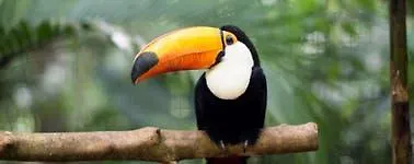 Der Valk Avifauna 호텔 알펜안덴라인