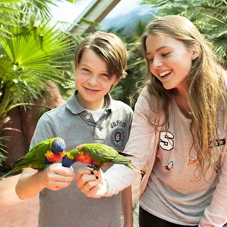 Der Valk Avifauna מלון 4*