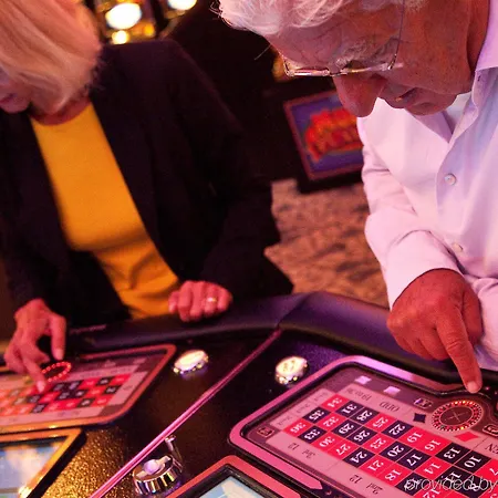 Der Valk Avifauna Szálloda