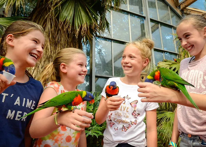 Hotel Der Valk Avifauna 4*