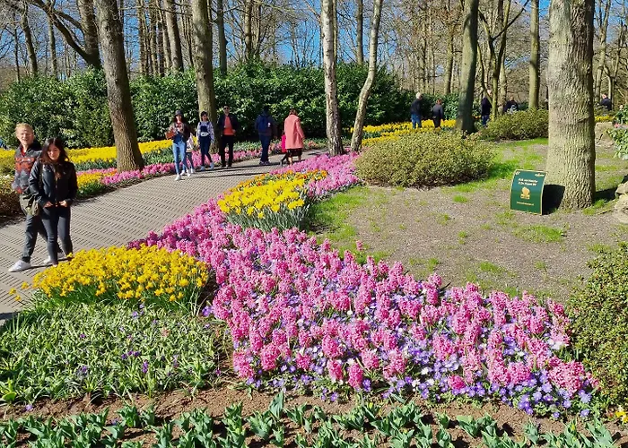 Der Valk Avifauna Hotel 4*