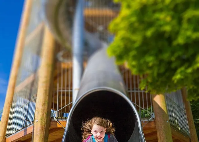 Der Valk Avifauna 4*