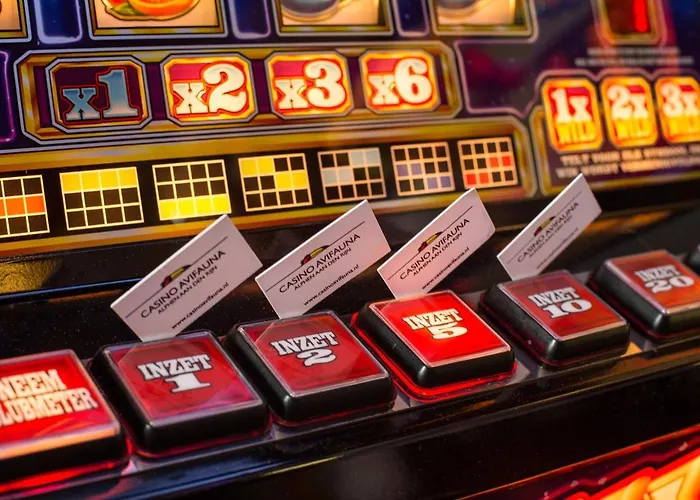 Der Valk Avifauna Alphen aan den Rijn