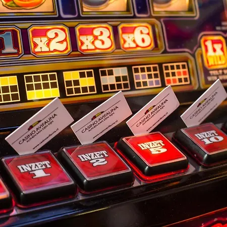 Der Valk Avifauna Alphen aan den Rijn